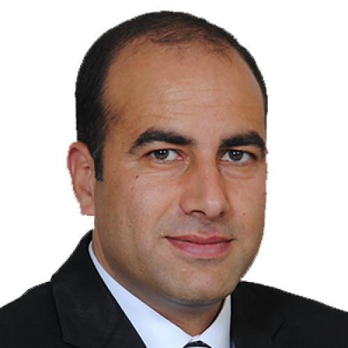 Habib M. Kammoun