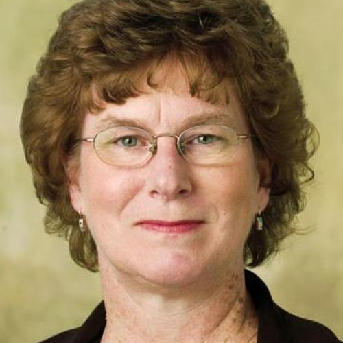 susan conry image