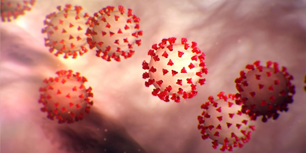 Corona Virus image